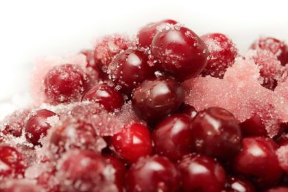 żurawina liofilizowana